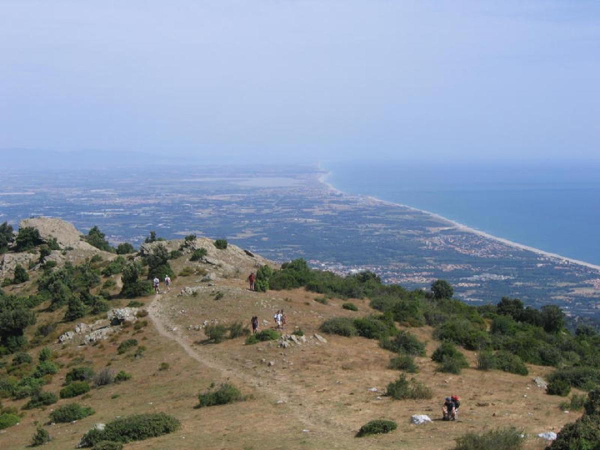 Laetitia Et Yaniv Dagon Daire Elne Dış mekan fotoğraf
